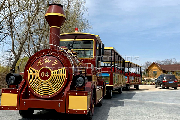 Antique Train Ride for Adults in Dinis