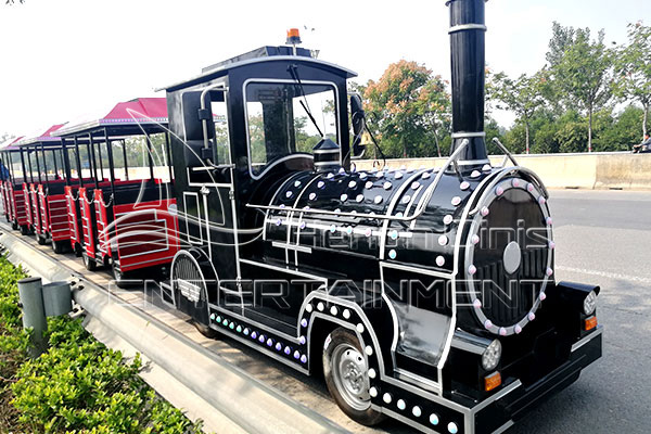 Amusement Park Train Attractions