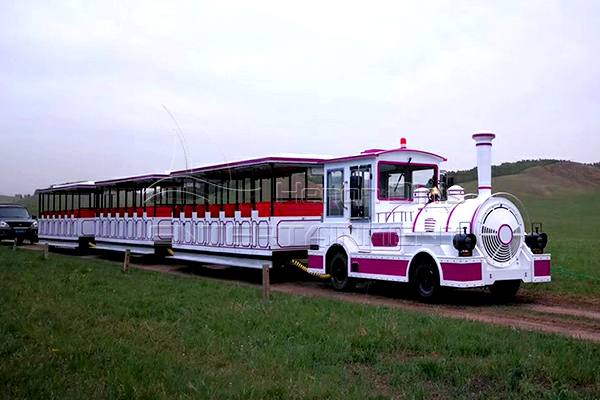 Tren diésel turístico sen vías do patio traseiro