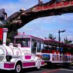 New Trackless Popular Trains for Sale