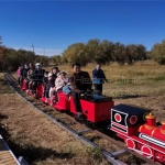 Călătoriți cu trenuri cu șine pentru curtea din spate