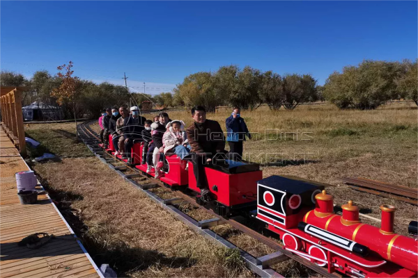Ride on Trains with Tracks for Backyard