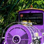 Dinis میں ٹرین کی مختلف سواریاں