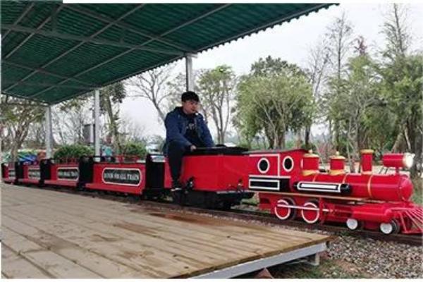 Ride on Train for Adults