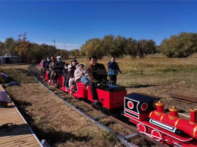 Backyard Ride on Train