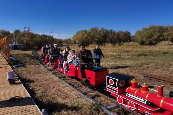 Backyard Ride on Train