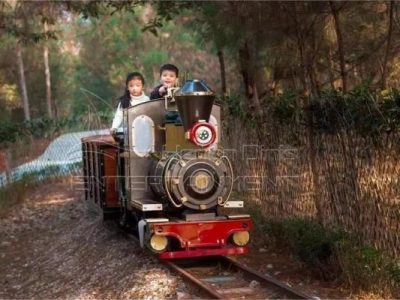 Tren manejable para familias