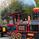 Small Trackless Steam Train