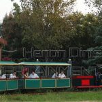 Tourist Track Train