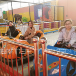 Adult Size Bumper Cars