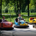 Drive Battery Bumper Cars in Park