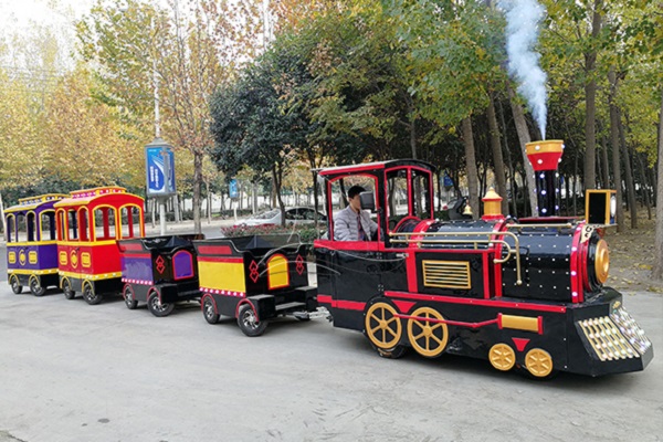 Passeig en tren antic amb vapor