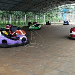 Bumper Car Safety Rules