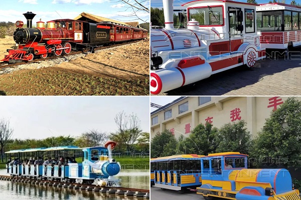 Large Ride on Train for Adults