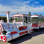 Tren elektrik pa pista të parkut argëtues për të rriturit