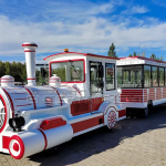 Amusement Park Electric Trackless Train for Adults