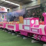 Custom Pink Miniature Railway Rideable Train for Kids